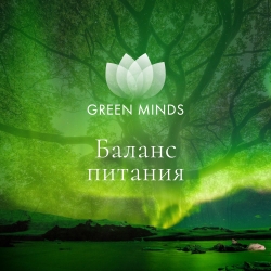 Нейромедитация GREEN MINDS &laquo;Баланс питания&raquo;